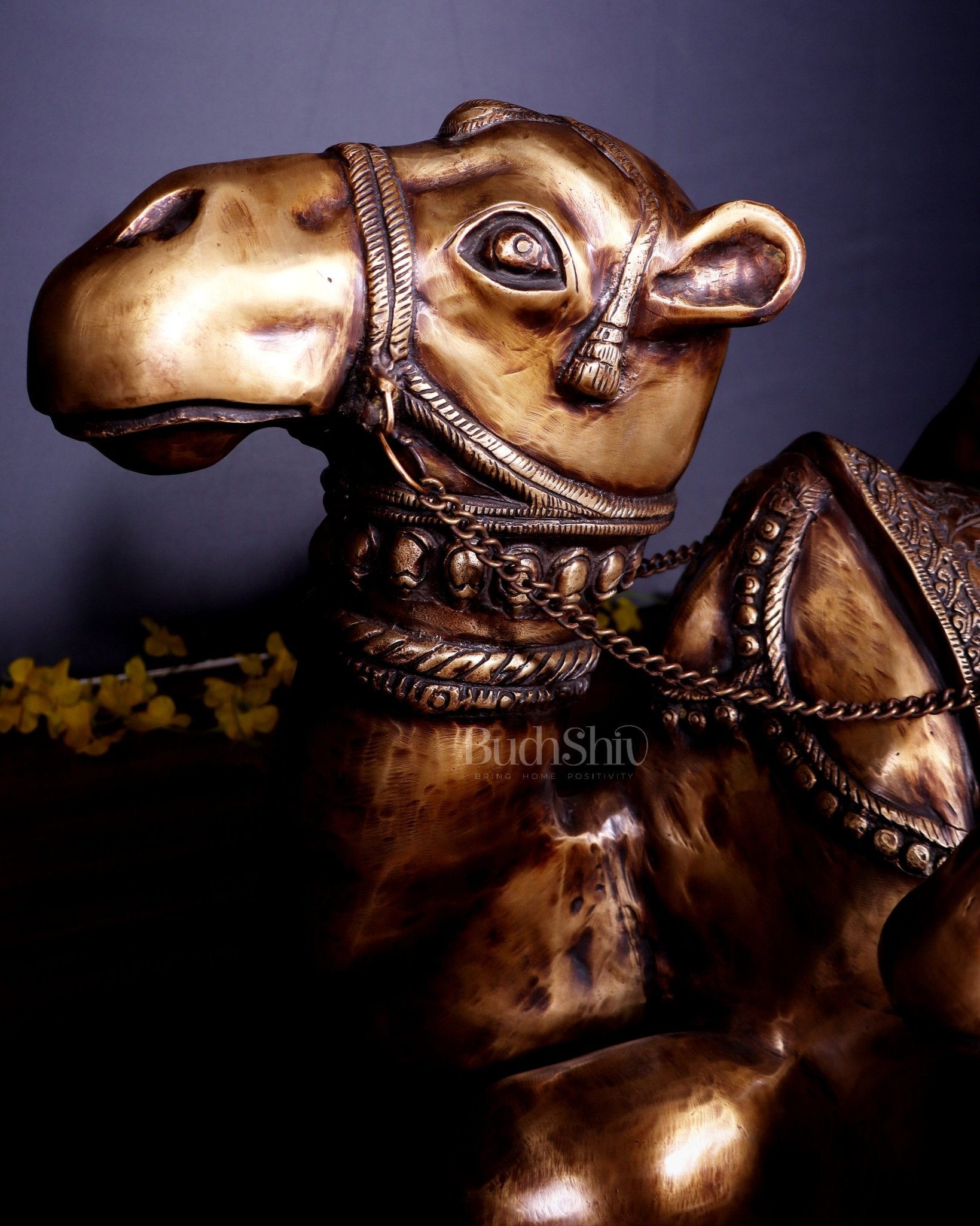 Brass Pair of large Sitting Camel Statues 36" Vastu approved - Budhshiv.com
