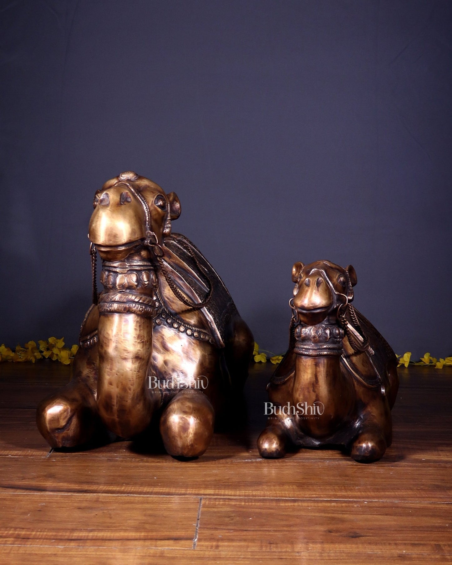 Brass Pair of large Sitting Camel Statues 36" Vastu approved - Budhshiv.com