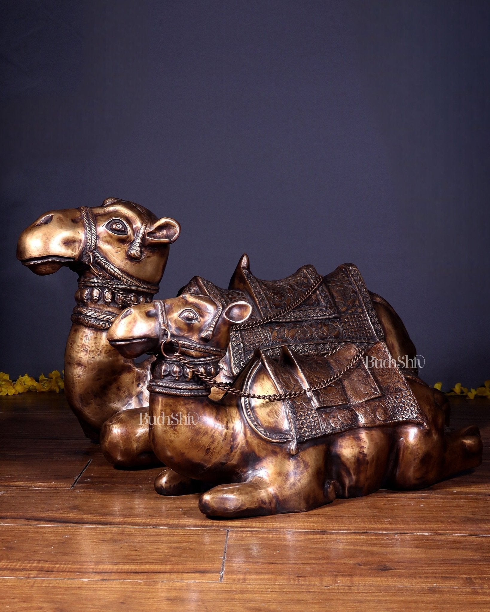Brass Pair of large Sitting Camel Statues 36" Vastu approved - Budhshiv.com
