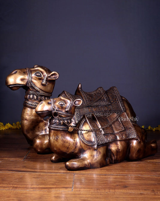 Brass Pair of large Sitting Camel Statues 36" Vastu approved - Budhshiv.com