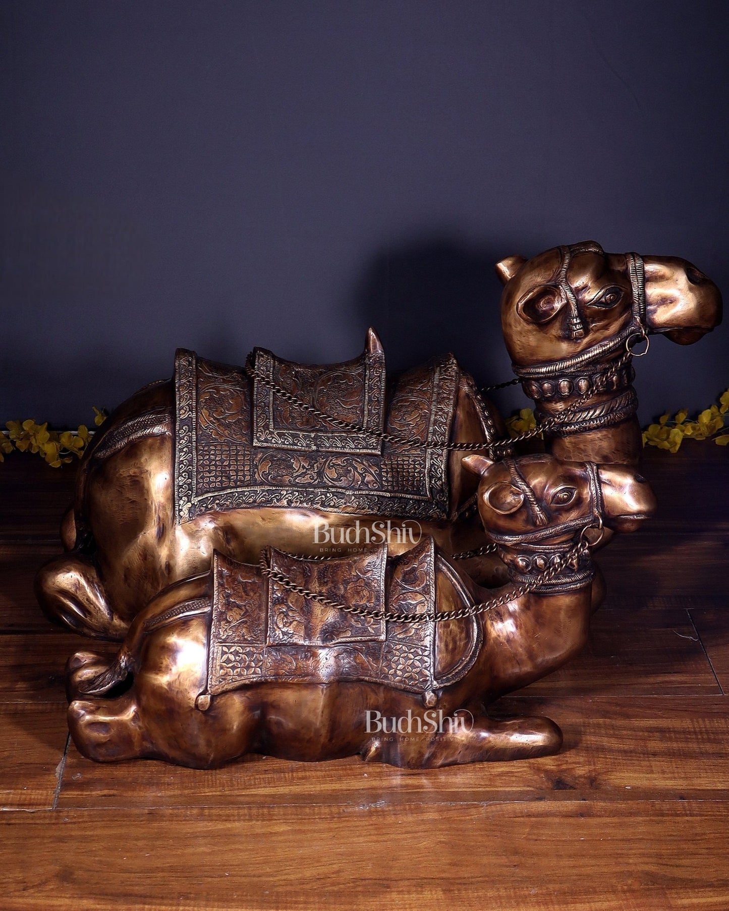 Brass Pair of large Sitting Camel Statues 36" Vastu approved - Budhshiv.com