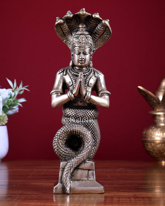 Brass Patanjali Maharishi Sage Idol 10 inch - Budhshiv.com
