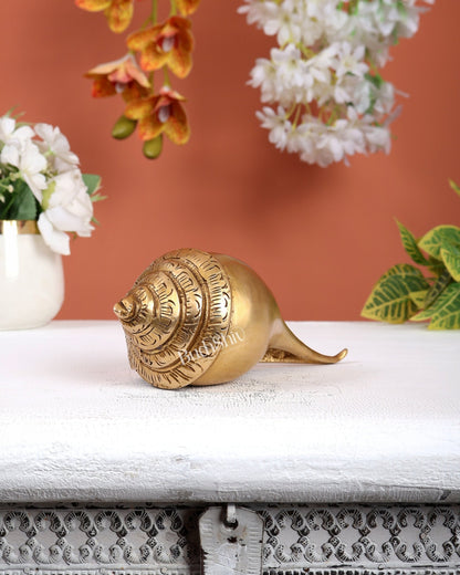 Brass Shankh – Plain & Simple Design Decorative Conch (6.5 Inches) - Budhshiv.com