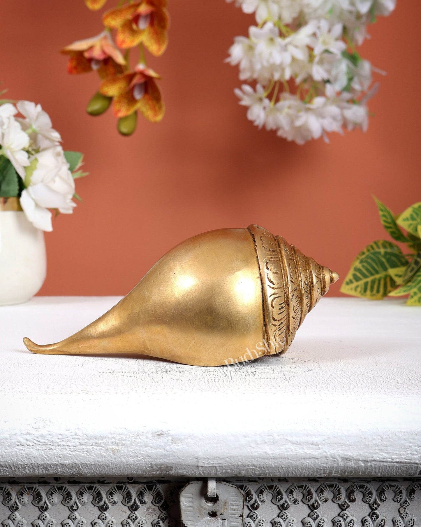 Brass Shankh – Plain & Simple Design Decorative Conch (6.5 Inches) - Budhshiv.com