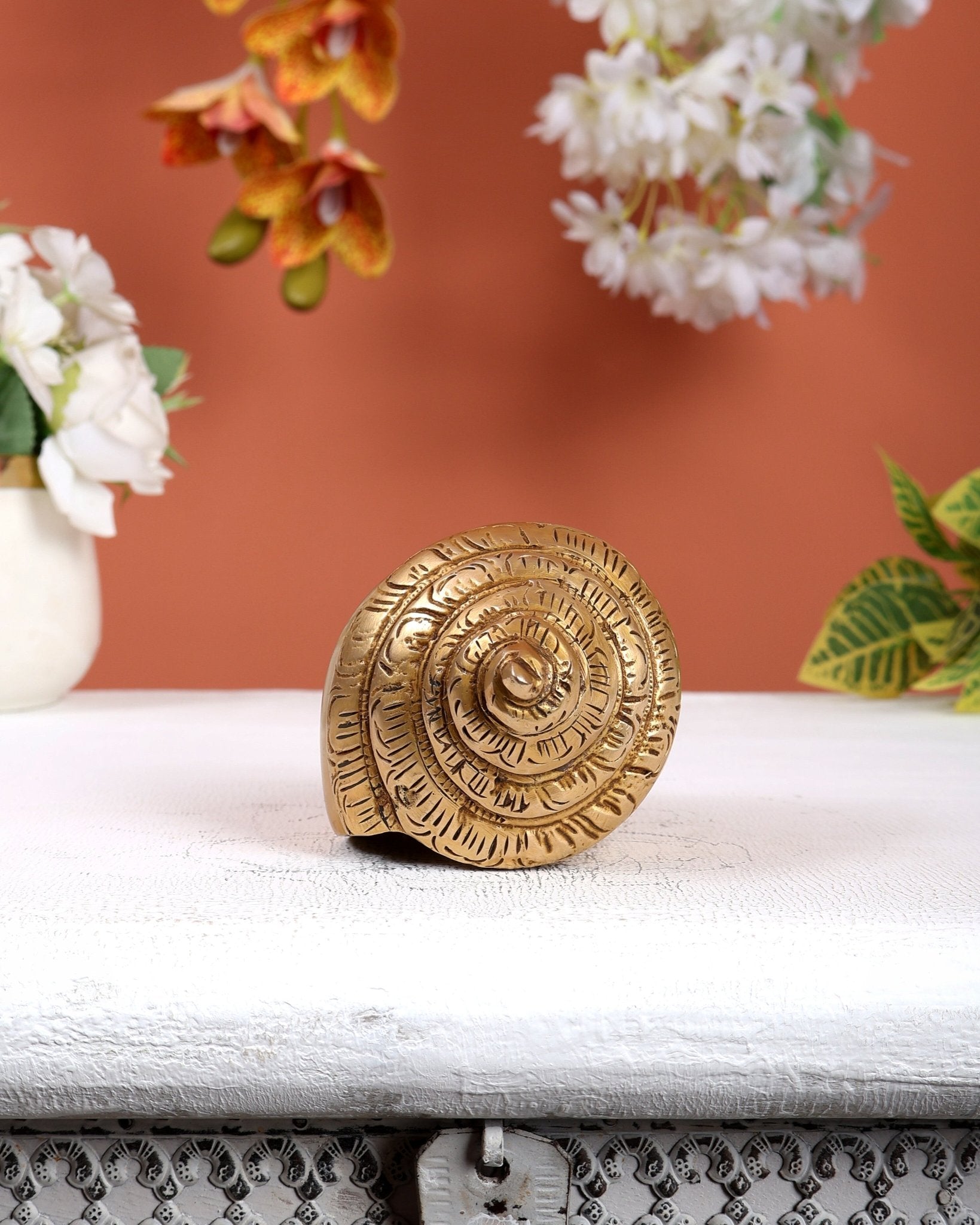 Brass Shankh – Plain & Simple Design Decorative Conch (6.5 Inches) - Budhshiv.com