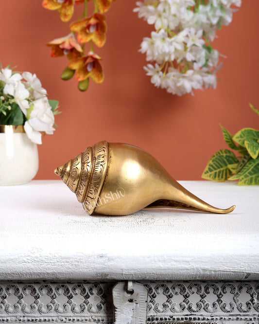 Brass Shankh – Plain & Simple Design Decorative Conch (6.5 Inches) - Budhshiv.com