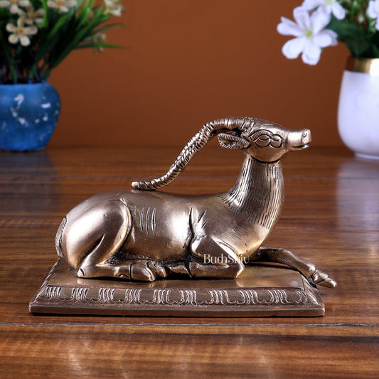 Brass Sitting Deer Statue | Unique Vastu Approved Showpiece - Budhshiv.com