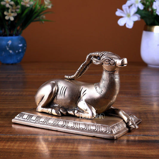 Brass Sitting Deer Statue | Unique Vastu Approved Showpiece - Budhshiv.com