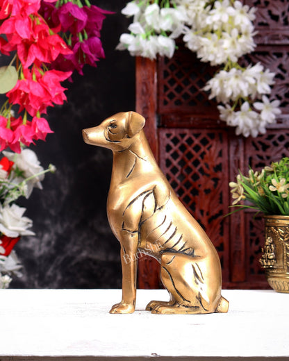 Brass Sitting Dog Statue | Vastu Approved Decorative Showpiece 7 inch - Budhshiv.com