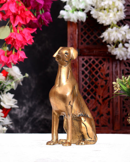 Brass Sitting Dog Statue | Vastu Approved Decorative Showpiece 7 inch - Budhshiv.com