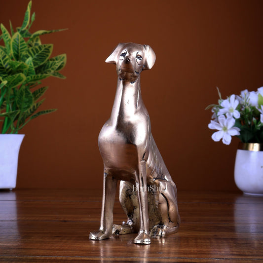 Brass Sitting Dog Statue | Vastu Approved Decorative Showpiece - Budhshiv.com
