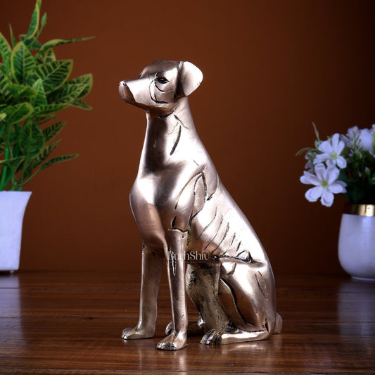 Brass Sitting Dog Statue | Vastu Approved Decorative Showpiece - Budhshiv.com