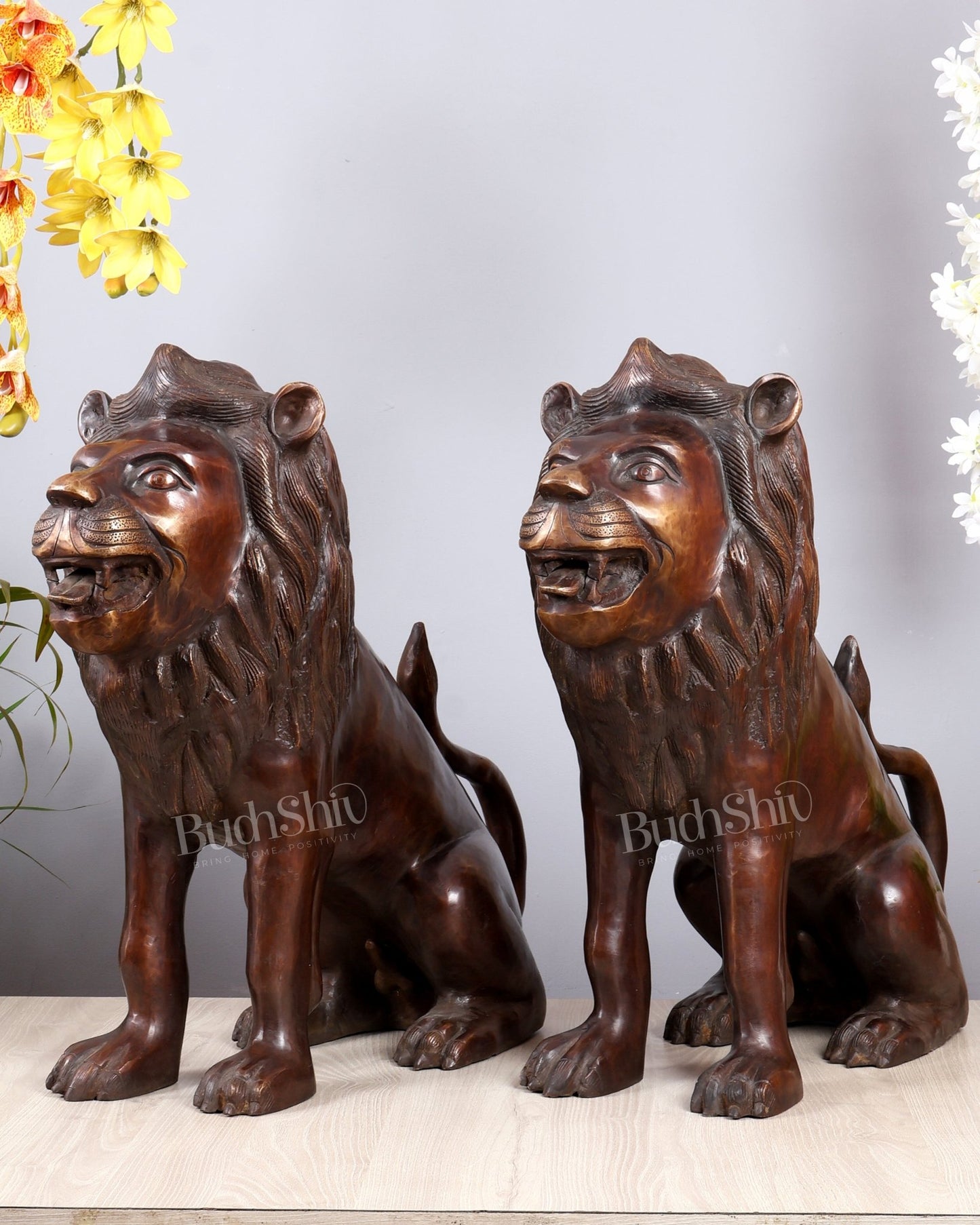 Brass Sitting Lion Large Statue pair – Antique Tone 23 inch - Budhshiv.com