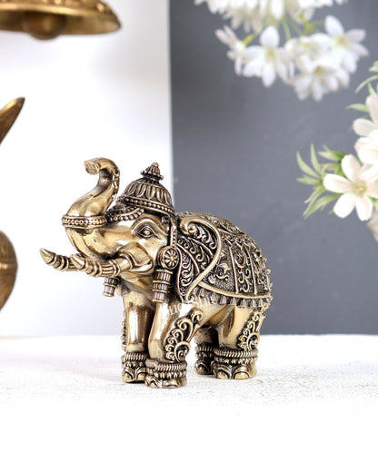 Brass Superfine Crowned Elephant – Elegant Decorative Showpiece 5 inch - Budhshiv.com