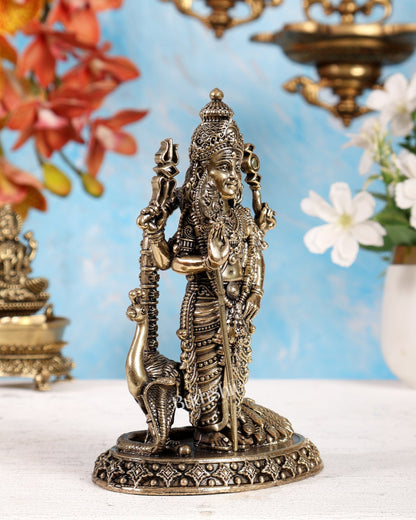 Brass Superfine Kartikeya Murugan Idol – Intricately Handcrafted 6 inch - Budhshiv.com