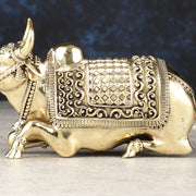 Brass Superfine Nandi Idol - 5.5" - Budhshiv.com
