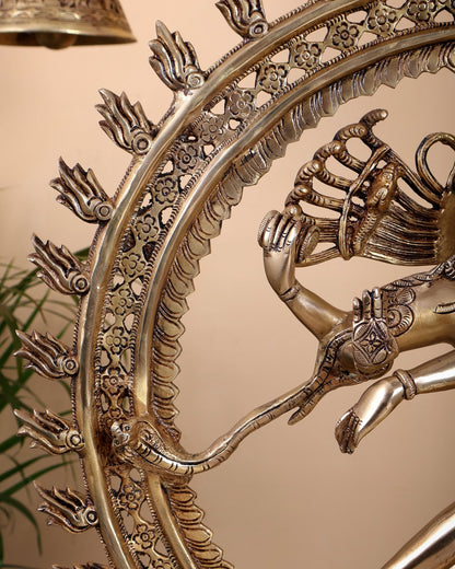 Brass Superfine Nataraja Finely Crafted Statue 24.5" - Budhshiv.com