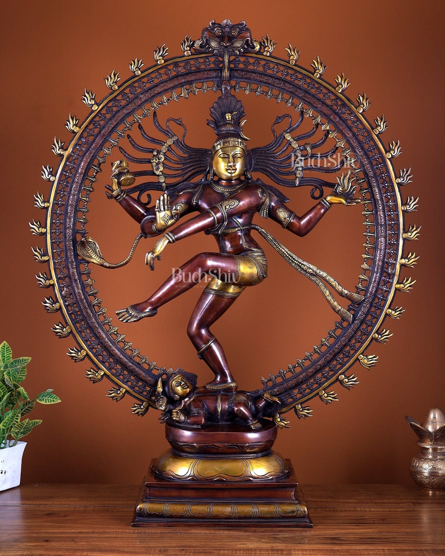 Brass Superfine Nataraja Statue – Double Chola Tone Grand Masterpiece 36 inch - Budhshiv.com