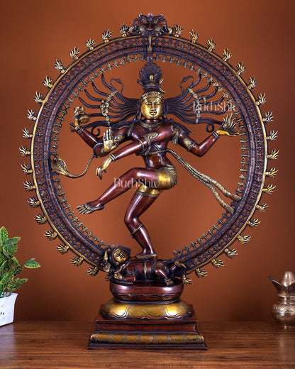 Brass Superfine Nataraja Statue – Double Chola Tone Grand Masterpiece 36 inch - Budhshiv.com