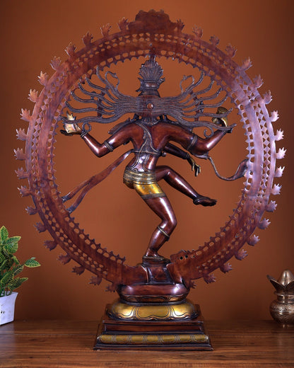 Brass Superfine Nataraja Statue – Double Chola Tone Grand Masterpiece 36 inch - Budhshiv.com