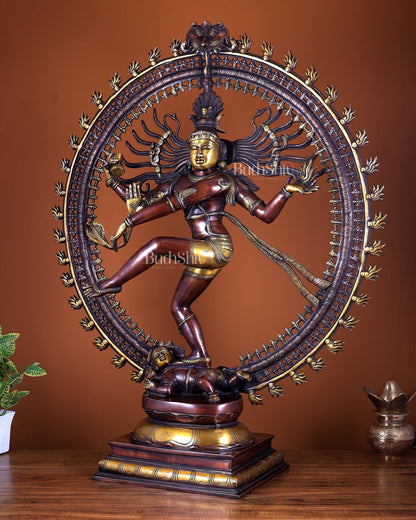 Brass Superfine Nataraja Statue – Double Chola Tone Grand Masterpiece 36 inch - Budhshiv.com