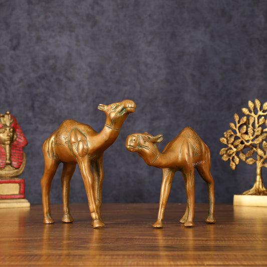 Brass Superfine Pair of Camel Vastu Recommended - 7" Tall - Budhshiv.com