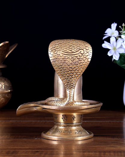 Brass Superfine Shiv Ling 6 inch - Budhshiv.com