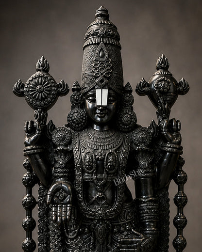 Brass Tirupati Balaji Statue | Lord Venkateshwara swamy | 48 inch full black - Budhshiv.com