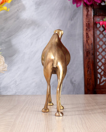 Brass Unique Camel Statue – Handcrafted Decorative Desert Animal Showpiece 8 inch - Budhshiv.com