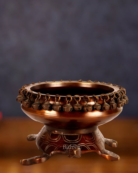 Brass Urli Bowl with Tortoise Base - 8"x10"x5", Matte Chocolate Finish - Budhshiv.com