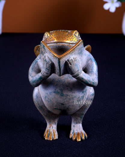 Brass Winged Frog Reading a Book – Whimsical Fantasy Collectible Showpiece - Budhshiv.com