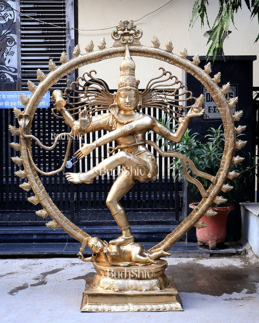 Exquisite 6 feet Brass Nataraja Statue – Grand Temple - Grade Sculpture - Budhshiv.com