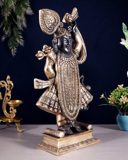 Exquisite Brass Shrinath ji Murti - 18 Inch | - Budhshiv.com