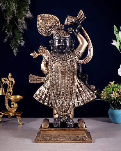 Exquisite Brass Shrinath ji Murti - 18 Inch | - Budhshiv.com
