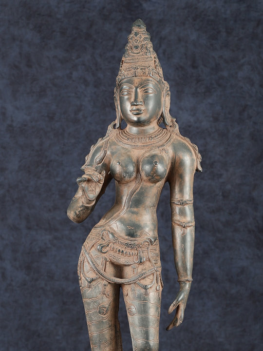 Goddess Parvati Standing Brass Sculpture – 27" Height, Chola Style - Budhshiv.com