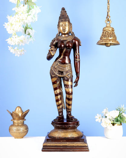 Goddess Parvati Standing Brass Sculpture – 27" Height, Double chola finish - Budhshiv.com