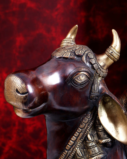 Handcrafted Brass Nandi Idol 21 inch dual tone - Budhshiv.com