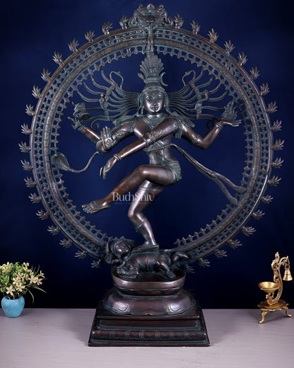 Handcrafted Brass Nataraja Statue - Height 36" Chola Black tone - Budhshiv.com