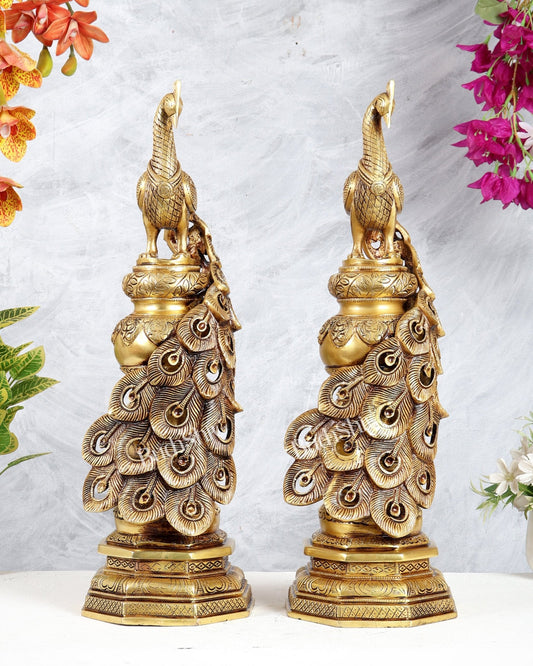 Large Brass Peacock Showpiece 20" enhanced carvings pair - Budhshiv.com