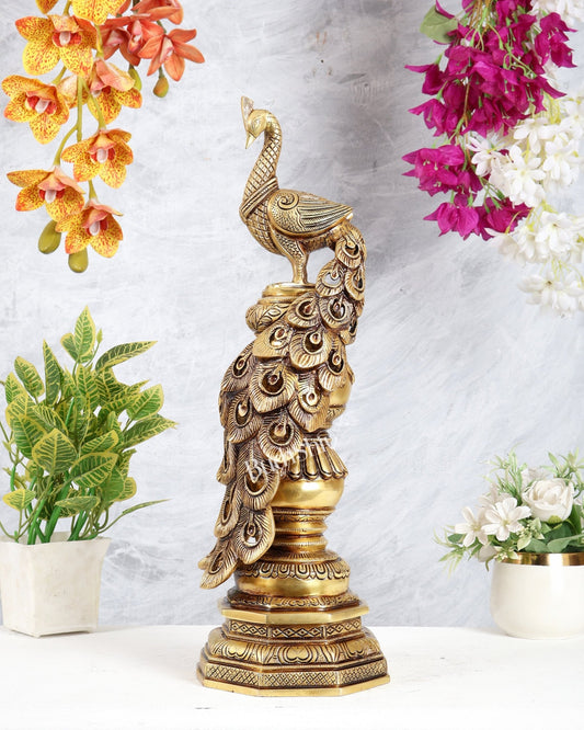 Large Brass Peacock Showpiece 20" enhanced carvings - Budhshiv.com