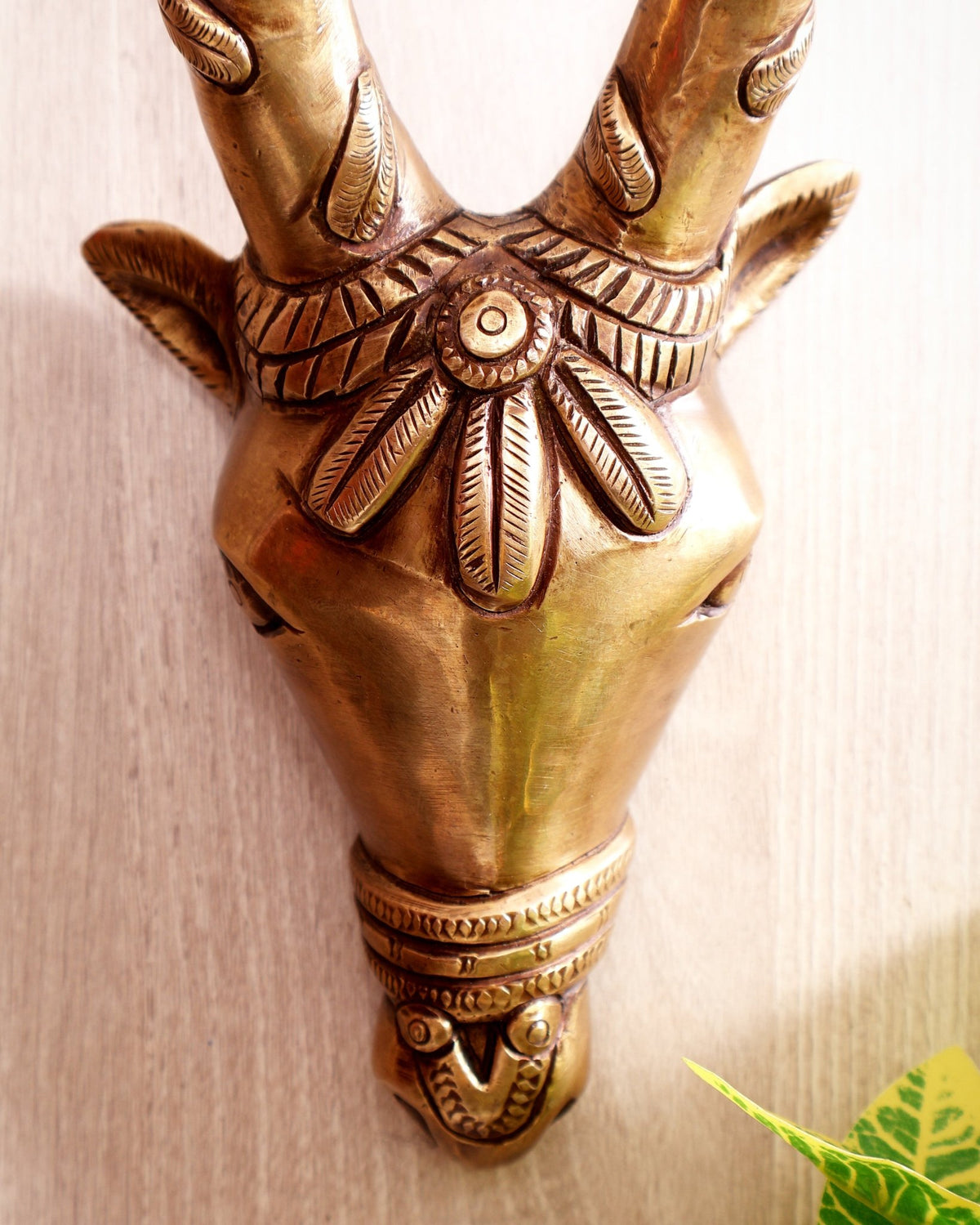 Majestic Brass Cow Face Wall Hanging 9.5 inch - Budhshiv.com
