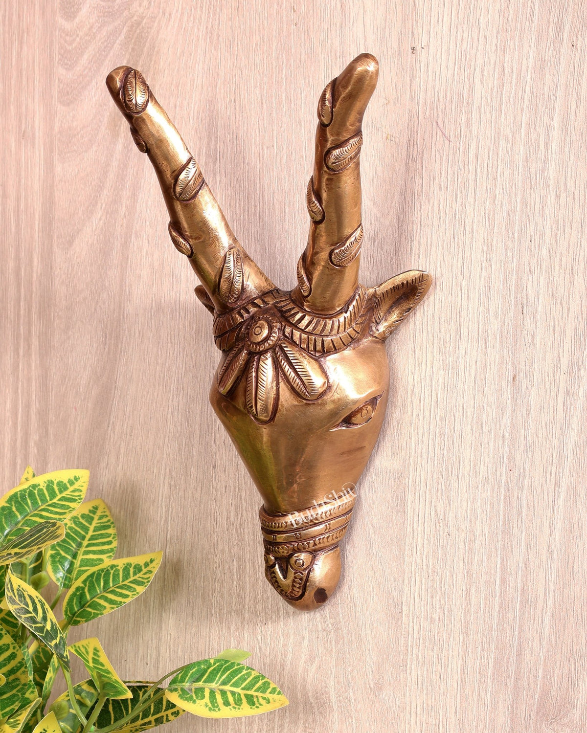 Majestic Brass Cow Face Wall Hanging 9.5 inch - Budhshiv.com