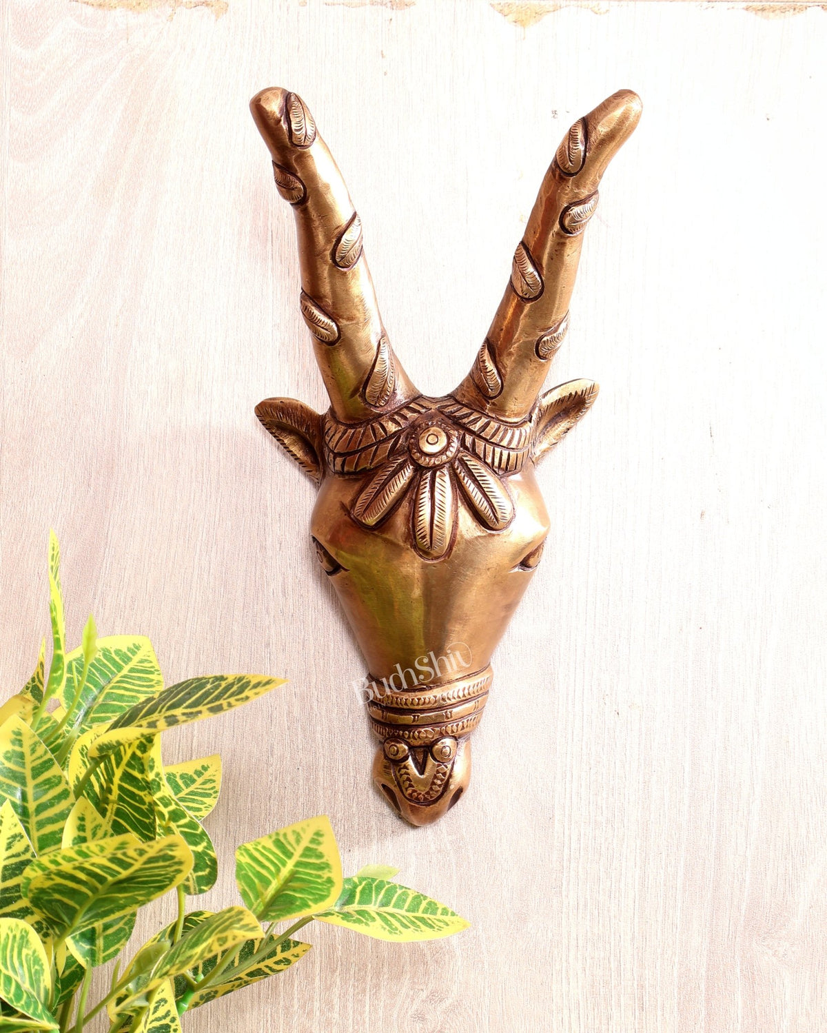 Majestic Brass Cow Face Wall Hanging 9.5 inch - Budhshiv.com