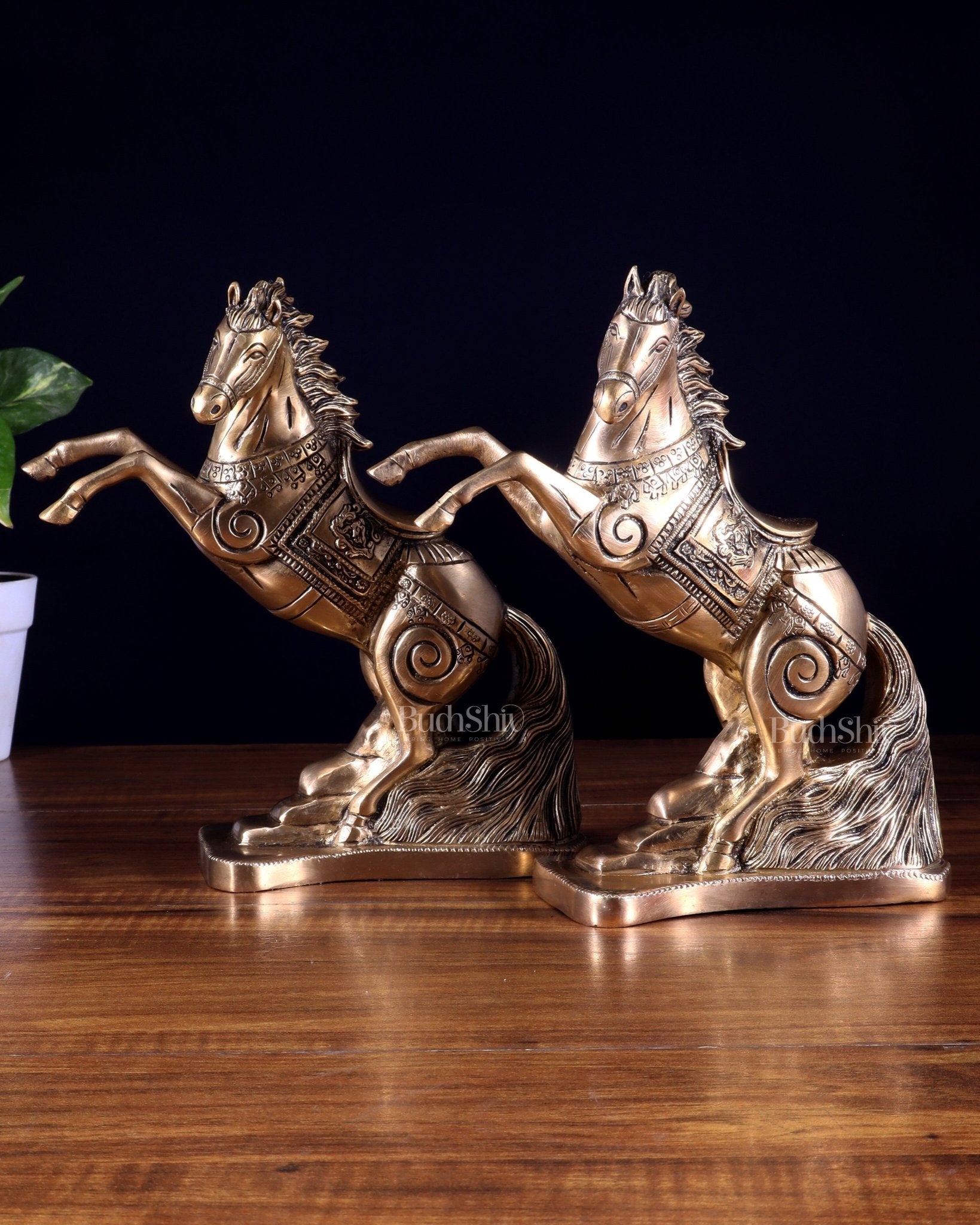 Pair of Pure Brass Feng Shui Horses – 8.5 Inch Each | 4.72 Kg | Vastu Good Luck Decor - Budhshiv.com