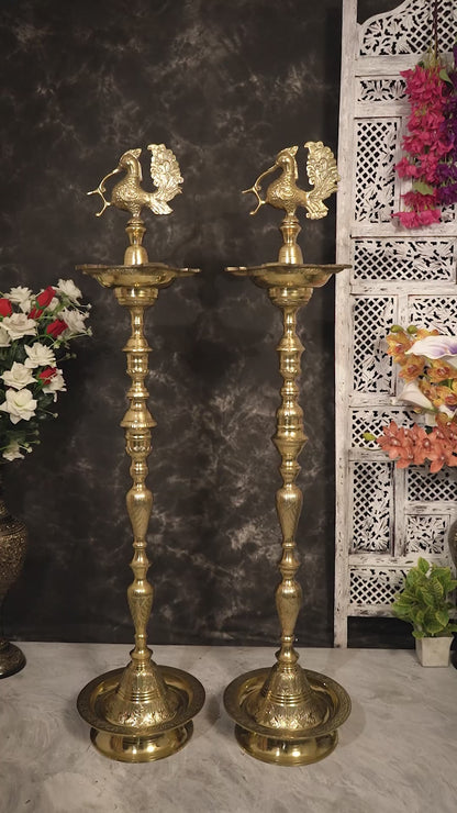 Brass Large Peacock Samai Inauguration Lamp (Pair) 51 inch