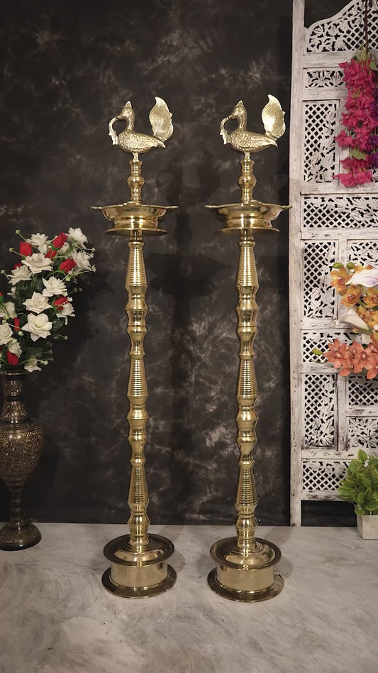 Brass Large Peacock Samai Inauguration Lamp (Pair) 54 inch