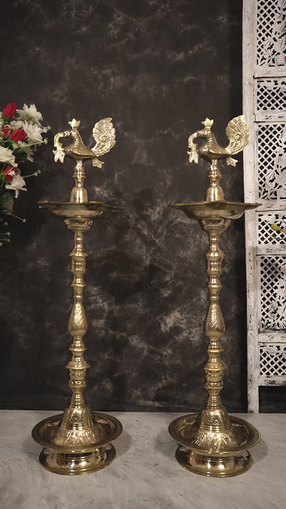 Brass Peacock Samai Inauguration Lamp heavy (Pair) 36.5 inch