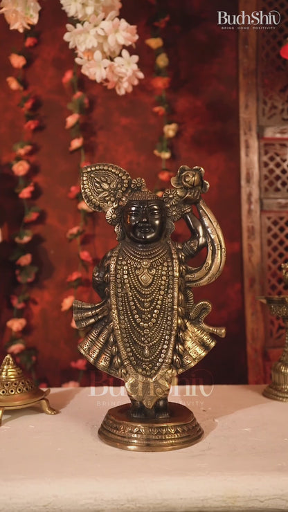 Brass Lord Shrinath Ji Statue | From Nathdwara 13 inch black edition