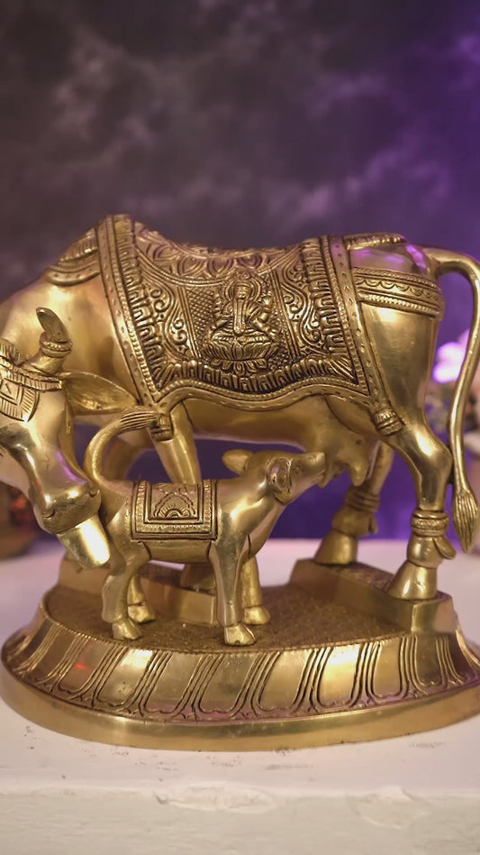 Pure Brass Superfine Kamadhenu Cow with Calf - 10 inch enhanced carvings