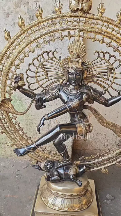 Brass Dancing Shiva as Nataraja Statue – Black & Gold Finish, 46.5 Inch